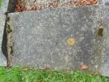 image of grave number 583311